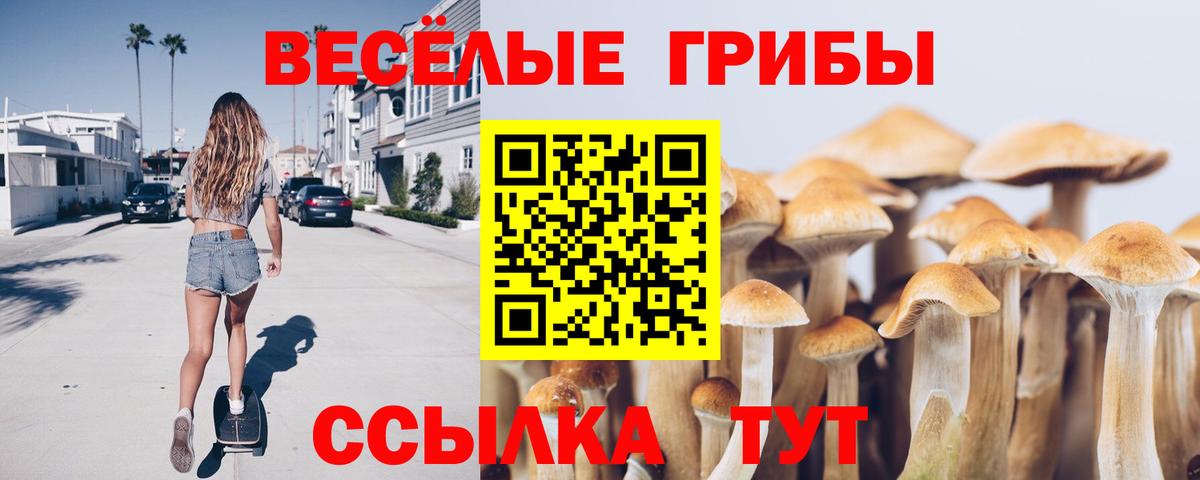 Псилоцибиновые грибы мицелий Волоколамск